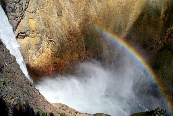 Rainbow at the base of Grand Canyon of Yellowstone